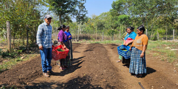 Impulsan creación de huertos en Petén