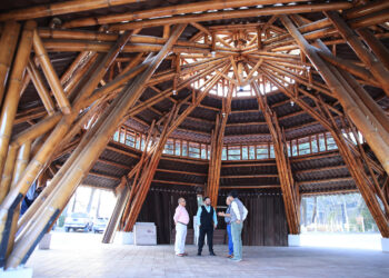 Impulsarán producción del bambú con tecnología y asistencia técnica