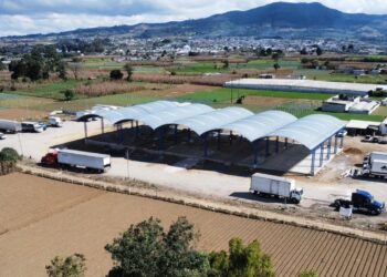 Inauguran Centro de Acopio de hortalizas en Patzicía