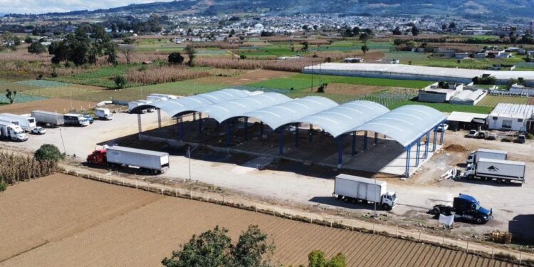 Inauguran Centro de Acopio de hortalizas en Patzicía