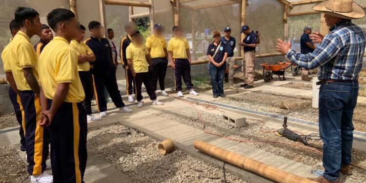 Jóvenes aprende procesos de agricultura y cuidados de animales de granja