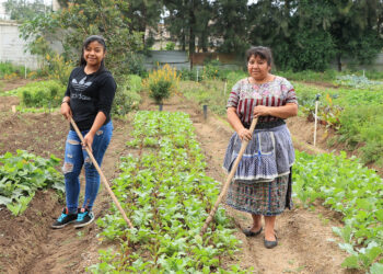 Los huertos son claves para el sustento familiar
