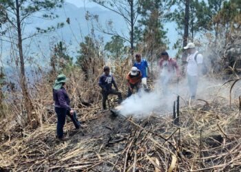 Monitorean cultivos luego de incendio en Cerro Belenju