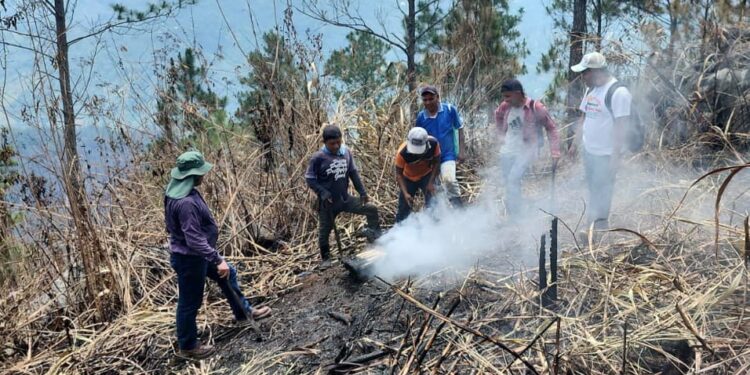 Monitorean cultivos luego de incendio en Cerro Belenju