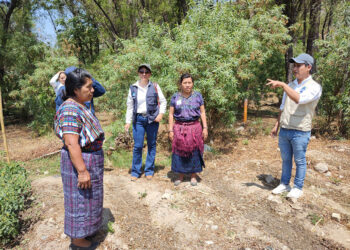 Mujeres aprenden a combatir plagas de hortalizas