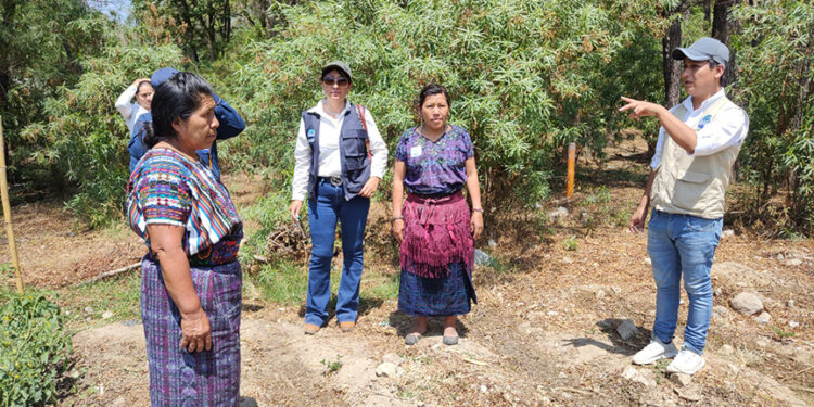 Mujeres aprenden a combatir plagas de hortalizas