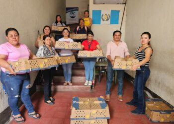 Prácticas avícolas fortalecen la economía de 100 familias