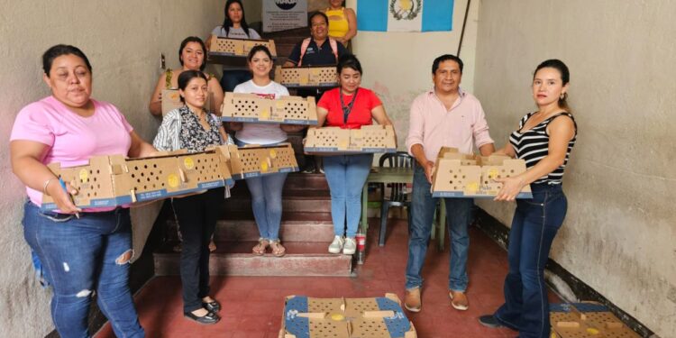 Prácticas avícolas fortalecen la economía de 100 familias