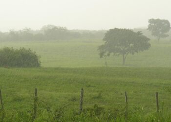 Prevén lluvias en el norte del país durante Semana Santa