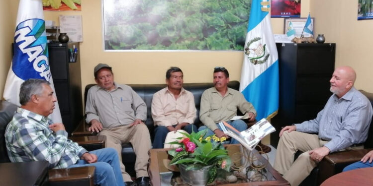 Productores de aguacate Hass se organizan para recibir capacitación y asistencia técnica