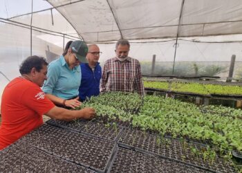 Promueven el fortalecimiento de acciones para aumentar la disponibilidad de alimentos