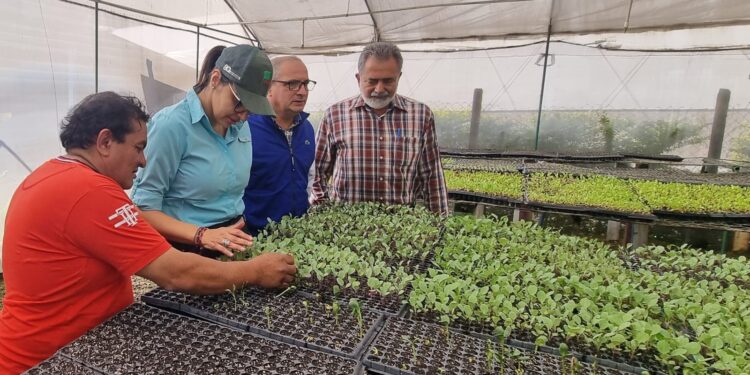 Promueven el fortalecimiento de acciones para aumentar la disponibilidad de alimentos
