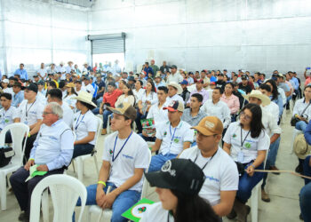 Promueven la tecnología para producción de hortalizas