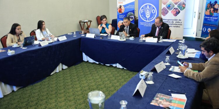 Proyecto REME apoyará a familias agricultoras en tres departamentos