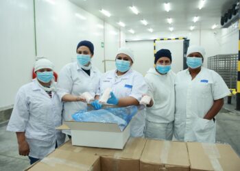 Certifican planta de procesamiento de camarón