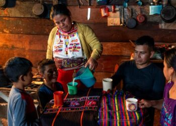 El Sobrepeso y la obesidad, los retos emergentes que forman parte del combate a la malnutrición