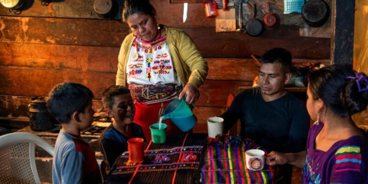 El Sobrepeso y la obesidad, los retos emergentes que forman parte del combate a la malnutrición