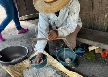 En San Benito, Petén, producirán abonos orgánicos y biofertilizantes