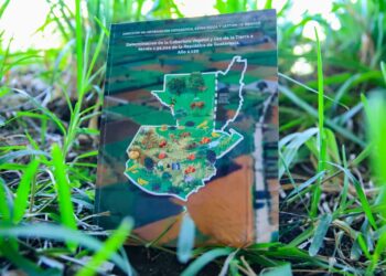 Actualizarán Mapa de Cobertura Vegetal y Uso de la Tierra