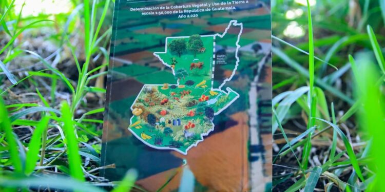 Actualizarán Mapa de Cobertura Vegetal y Uso de la Tierra