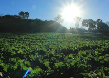 Altas temperaturas y lluvia marcan primera semana de abril