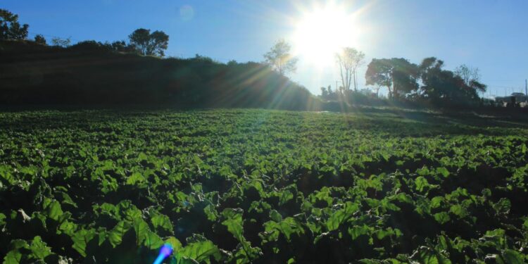 Altas temperaturas y lluvia marcan primera semana de abril