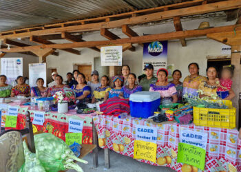 Apoyo al CADER de San Bartolomé Jocotenango, Quiché, transforma la vida de las comunitarias