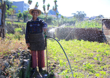Beneficios de la tecnificación del riego