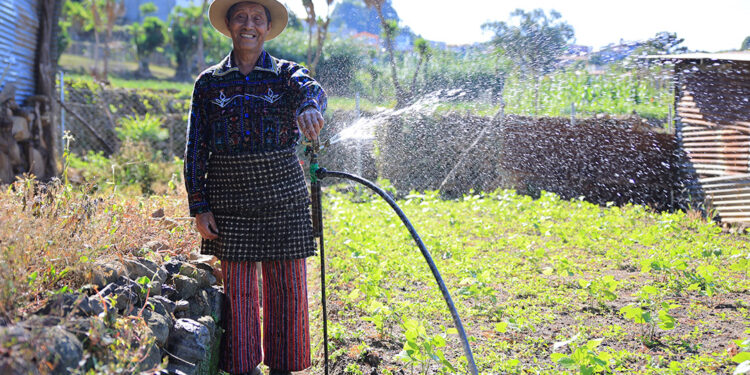 Beneficios de la tecnificación del riego