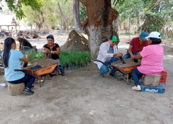 Brindan apoyo técnico en Zacapa para fortalecimiento de plantas de café