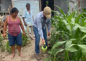 Brindan asistencia técnica a huertos familiares en Teculután, Zacapa