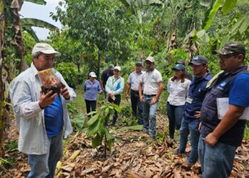Capacitación sobre manejo de cultivos de banano y plátano fortalece la agricultura en Suchitepéquez