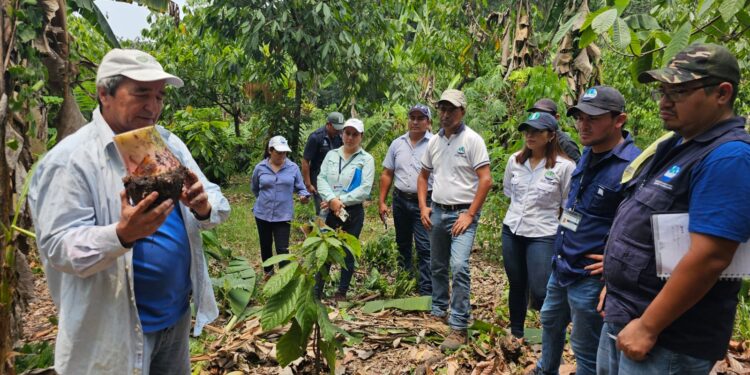 Capacitación sobre manejo de cultivos de banano y plátano fortalece la agricultura en Suchitepéquez