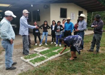 Comunidades reforestarán cuenca del río Pojom en Huehuetenango