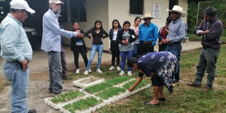Comunidades reforestarán cuenca del río Pojom en Huehuetenango