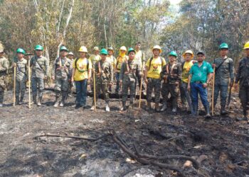 Controlan 120 incendios forestales en Petén