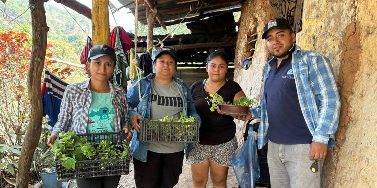 Entregan pilones de hortalizas en San Juan Ermita