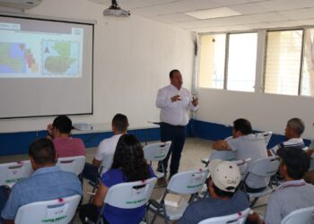 Extensionistas de Petén son capacitados para prevenir el Fusarium R4T