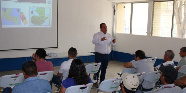 Extensionistas de Petén son capacitados para prevenir el Fusarium R4T