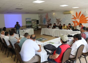 Fomentan ganadería sostenible en Petén