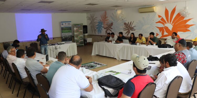 Fomentan ganadería sostenible en Petén