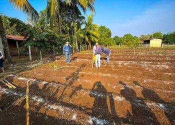 Fortalecen Huertos Familiares en Poptún