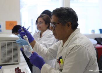 Fortalecimiento de los sistemas de vigilancia del Departamento Sanidad Animal