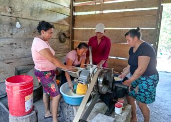 Impulsan avicultura sostenible en Sayaxché, Petén