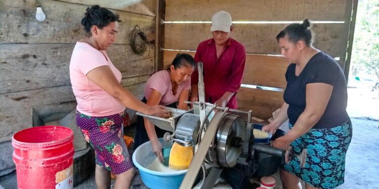 Impulsan avicultura sostenible en Sayaxché, Petén
