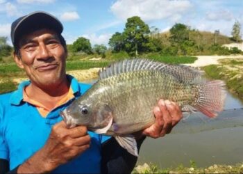 Impulsan crecimiento de la acuicultura en Petén