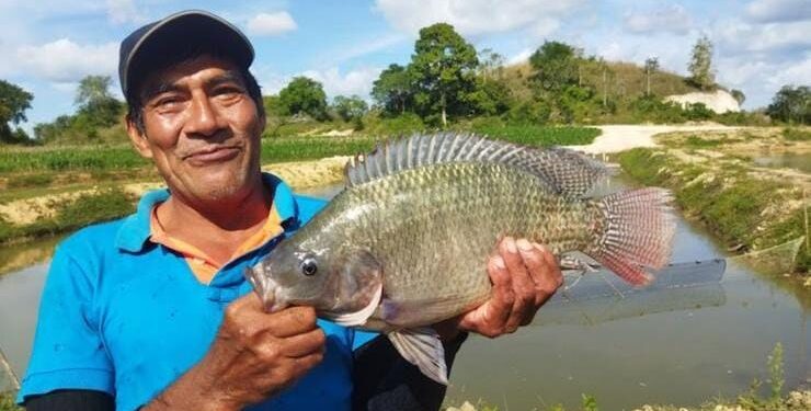Impulsan crecimiento de la acuicultura en Petén