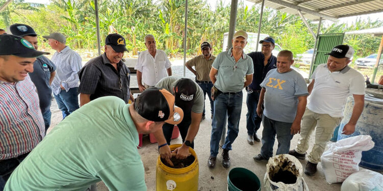 Impulsan producción de biofertilizantes en Río Hondo