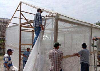 Invernaderos impulsan la diversificación agrícola en Petén