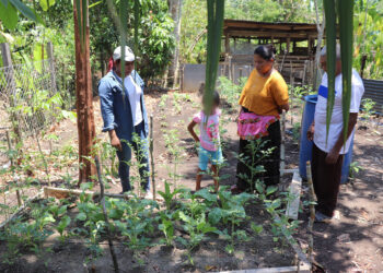 Más familias elaboran huertos familiares en Poptún